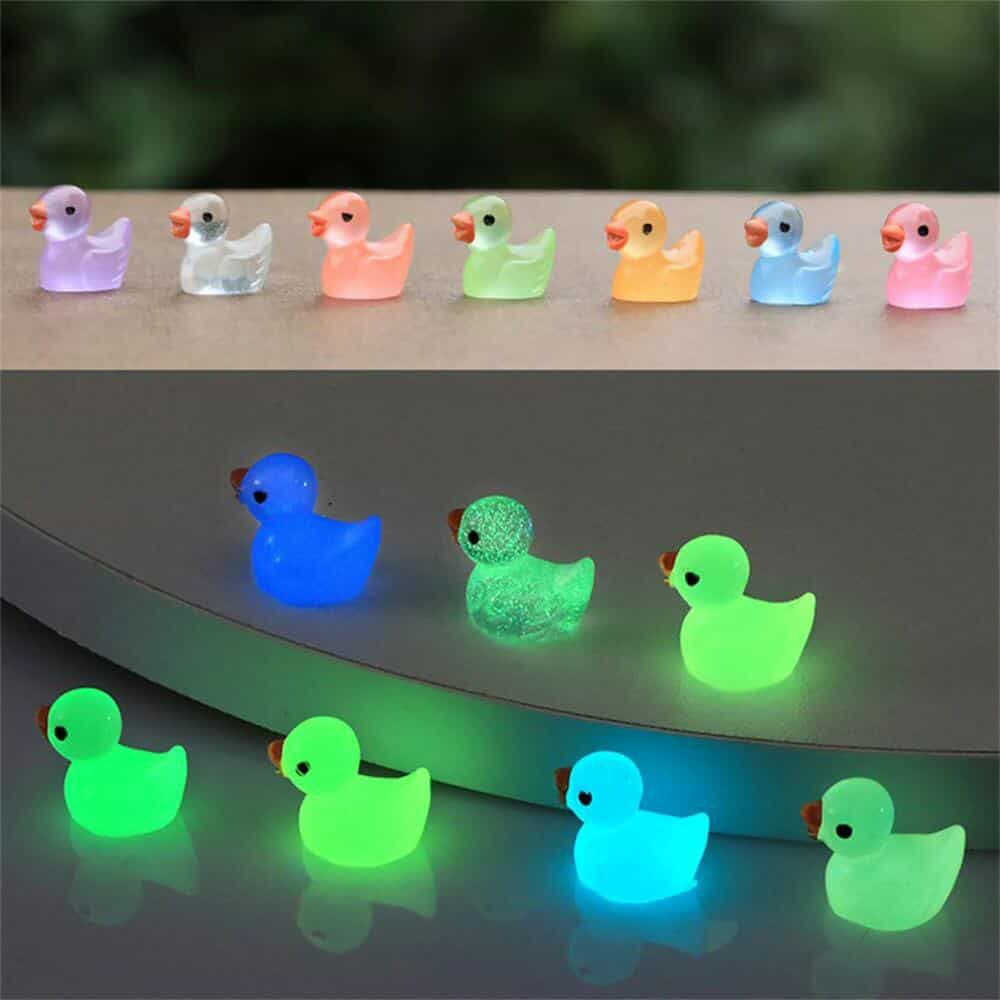 Radium Duck Stone