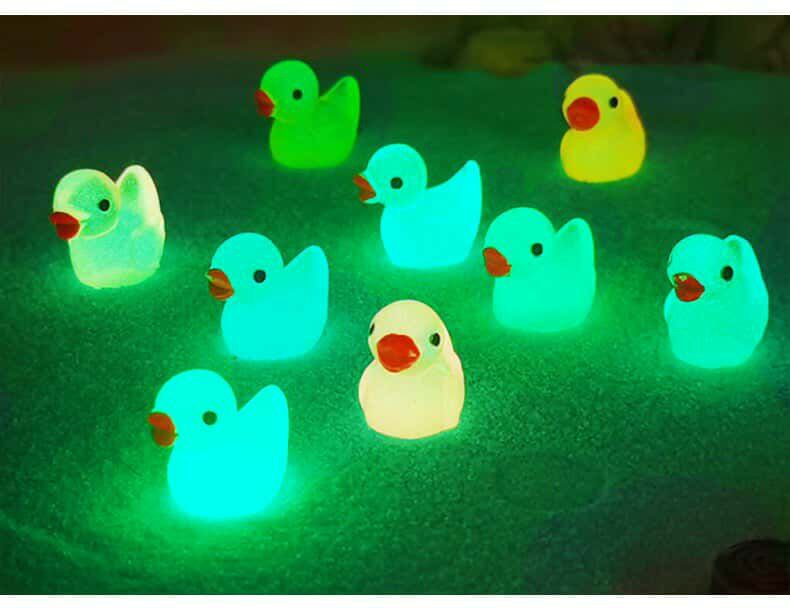 Radium Duck Stone