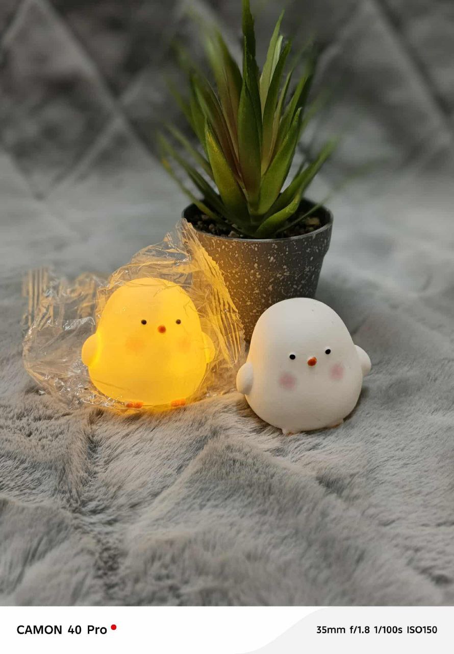 Chicken Led Night Light