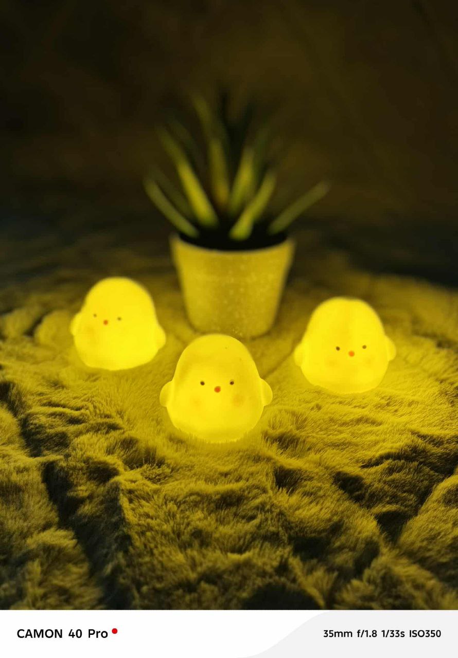 Chicken Led Night Light