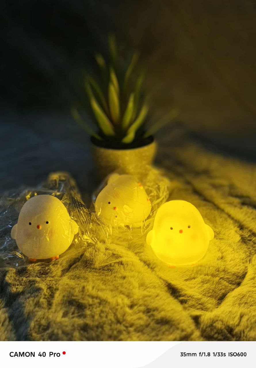 Chicken Led Night Light