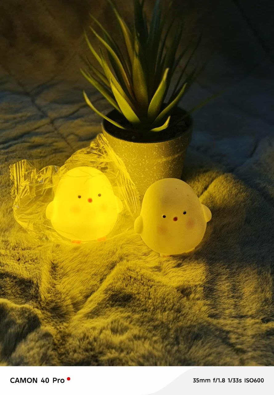 Chicken Led Night Light