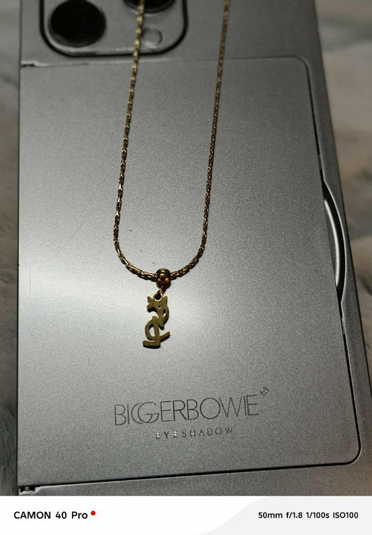YSL Pendent ( Color Guarantee)