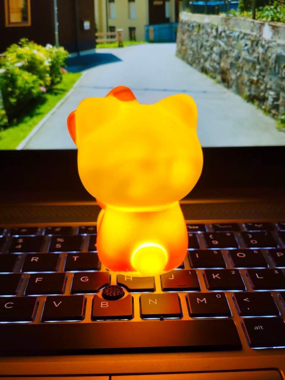 Cute Panda Night Light