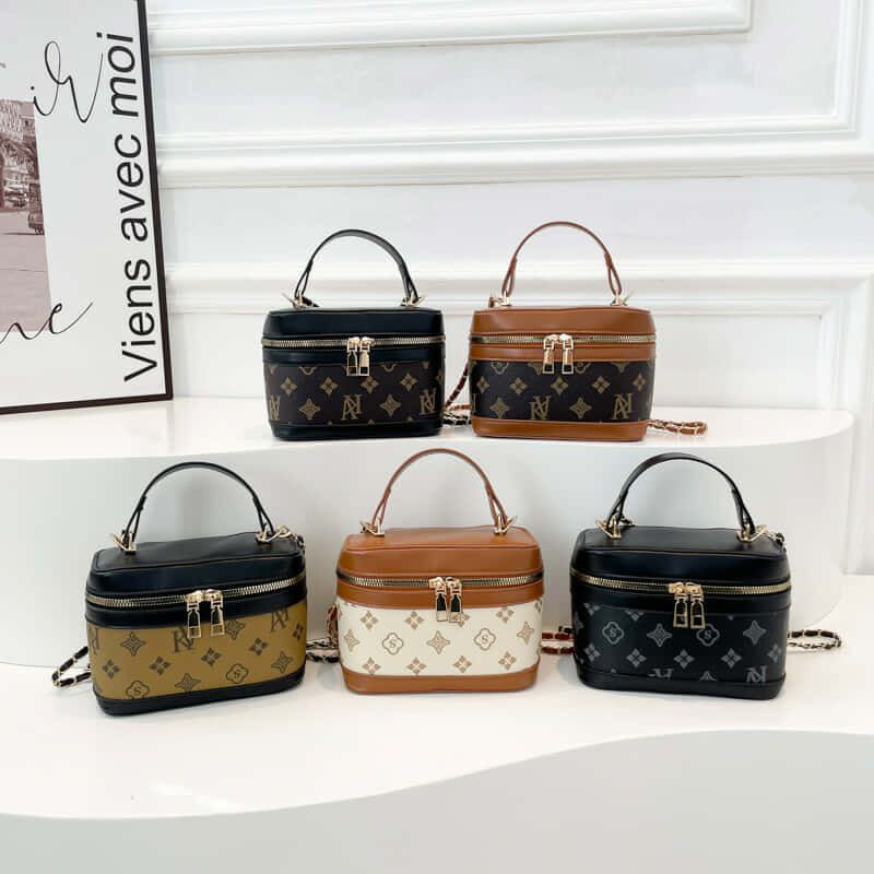 Louis Vuitton Vanity Bag
